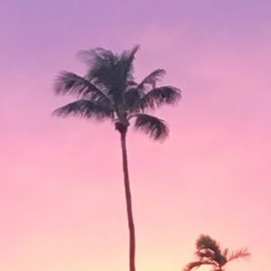 Meet your Posher, Annelle